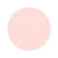 www